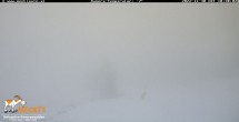 Archived image Webcam View of the Mecki&#39;s Alm mountain hut 09:00