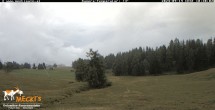 Archived image Webcam View of the Mecki&#39;s Alm mountain hut 09:00