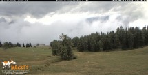 Archived image Webcam View of the Mecki&#39;s Alm mountain hut 11:00