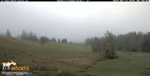 Archiv Foto Webcam Blick von Mecki&#39;s Alm Hütte auf der Faschingalm 05:00