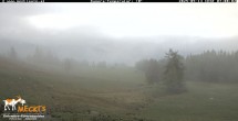 Archiv Foto Webcam Blick von Mecki&#39;s Alm Hütte auf der Faschingalm 06:00
