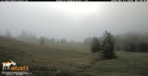 Archiv Foto Webcam Blick von Mecki&#39;s Alm Hütte auf der Faschingalm 07:00