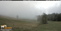 Archiv Foto Webcam Blick von Mecki&#39;s Alm Hütte auf der Faschingalm 09:00
