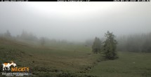 Archived image Webcam View of the Mecki&#39;s Alm mountain hut 06:00