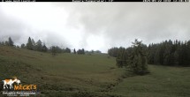 Archived image Webcam View of the Mecki&#39;s Alm mountain hut 11:00