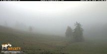 Archived image Webcam View of the Mecki&#39;s Alm mountain hut 13:00