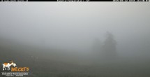 Archived image Webcam View of the Mecki&#39;s Alm mountain hut 15:00