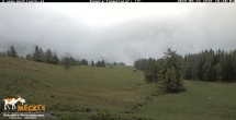 Archived image Webcam View of the Mecki&#39;s Alm mountain hut 17:00