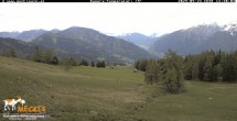 Archived image Webcam View of the Mecki&#39;s Alm mountain hut 11:00