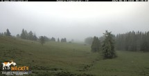 Archiv Foto Webcam Blick von Mecki&#39;s Alm Hütte auf der Faschingalm 14:00