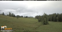 Archiv Foto Webcam Blick von Mecki&#39;s Alm Hütte auf der Faschingalm 09:00