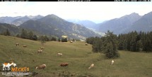 Archiv Foto Webcam Blick von Mecki&#39;s Alm Hütte auf der Faschingalm 11:00