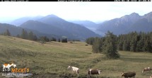 Archiv Foto Webcam Blick von Mecki&#39;s Alm Hütte auf der Faschingalm 06:00