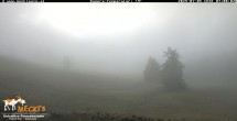 Archiv Foto Webcam Blick von Mecki&#39;s Alm Hütte auf der Faschingalm 06:00