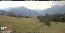 Archived image Webcam View of the Mecki&#39;s Alm mountain hut 13:00