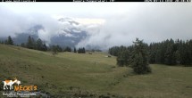 Archiv Foto Webcam Blick von Mecki&#39;s Alm Hütte auf der Faschingalm 19:00