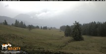 Archived image Webcam View of the Mecki&#39;s Alm mountain hut 19:00