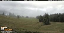 Archiv Foto Webcam Blick von Mecki&#39;s Alm Hütte auf der Faschingalm 15:00