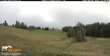 Archiv Foto Webcam Blick von Mecki&#39;s Alm Hütte auf der Faschingalm 15:00