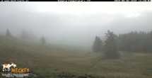 Archived image Webcam View of the Mecki&#39;s Alm mountain hut 11:00
