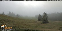 Archiv Foto Webcam Blick von Mecki&#39;s Alm Hütte auf der Faschingalm 13:00