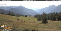 Archiv Foto Webcam Blick von Mecki&#39;s Alm Hütte auf der Faschingalm 08:00
