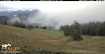 Archiv Foto Webcam Blick von Mecki&#39;s Alm Hütte auf der Faschingalm 08:00