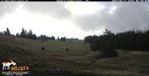 Archiv Foto Webcam Blick von Mecki&#39;s Alm Hütte auf der Faschingalm 07:00