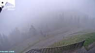 Archived image Webcam "Hochstein" mountain hut 11:00