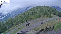 Archiv Foto Webcam Sicht von der Hochsteinhütte auf 2057 Meter 15:00