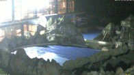 Archiv Foto Webcam Bad Füssing: Johannesbad-Therme Felsenlagune 05:00