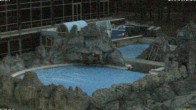 Archiv Foto Webcam Bad Füssing: Johannesbad-Therme Felsenlagune 06:00