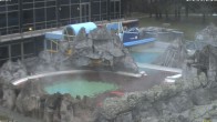 Archiv Foto Webcam Bad Füssing: Johannesbad-Therme Felsenlagune 07:00