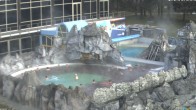 Archiv Foto Webcam Bad Füssing: Johannesbad-Therme Felsenlagune 09:00