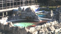 Archiv Foto Webcam Bad Füssing: Johannesbad-Therme Felsenlagune 08:00
