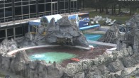 Archiv Foto Webcam Bad Füssing: Johannesbad-Therme Felsenlagune 07:00