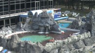 Archiv Foto Webcam Bad Füssing: Johannesbad-Therme Felsenlagune 09:00