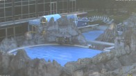 Archiv Foto Webcam Bad Füssing: Johannesbad-Therme Felsenlagune 05:00