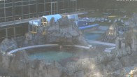 Archiv Foto Webcam Bad Füssing: Johannesbad-Therme Felsenlagune 05:00