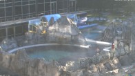 Archiv Foto Webcam Bad Füssing: Johannesbad-Therme Felsenlagune 06:00