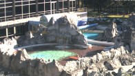 Archiv Foto Webcam Bad Füssing: Johannesbad-Therme Felsenlagune 07:00