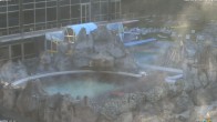 Archiv Foto Webcam Bad Füssing: Johannesbad-Therme Felsenlagune 05:00
