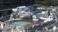 Archiv Foto Webcam Bad Füssing: Johannesbad-Therme Felsenlagune 15:00