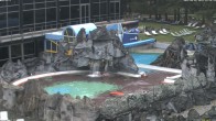 Archiv Foto Webcam Bad Füssing: Johannesbad-Therme Felsenlagune 17:00