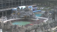 Archiv Foto Webcam Bad Füssing: Johannesbad-Therme Felsenlagune 07:00