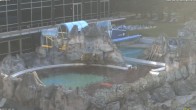 Archiv Foto Webcam Bad Füssing: Johannesbad-Therme Felsenlagune 05:00