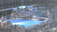 Archiv Foto Webcam Bad Füssing: Johannesbad-Therme Felsenlagune 06:00