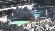 Archiv Foto Webcam Bad Füssing: Johannesbad-Therme Felsenlagune 07:00