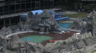 Archiv Foto Webcam Bad Füssing: Johannesbad-Therme Felsenlagune 11:00