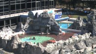 Archiv Foto Webcam Bad Füssing: Johannesbad-Therme Felsenlagune 09:00